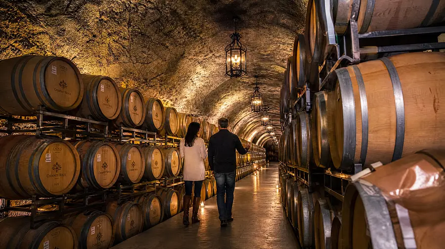 Las mejores catas de cuevas y castillos de vinos del Valle de Napa